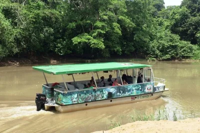Vivi la natura selvaggia di caño negro con un tour in barca sul rio frio da la fortuna, avvista scimmie e caimani, gusta un pranzo locale e approfitta del trasferimento incluso.