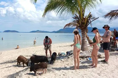 Schnorcheln Koh Samui: Pig Island & Koh Taen