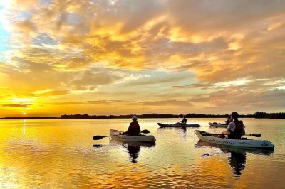 Glide through cocoa beach’s mangrove tunnels by kayak, spot dolphins and manatees up close, and laugh with local guides. small groups, gear, and photos included.