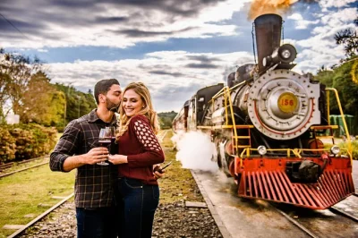 Erlebe die maria fumaça dampflok, probiere weine im größten weingut brasiliens und spüre das erbe italienischer einwanderer in caxias do sul. inklusive hoteltransfer.