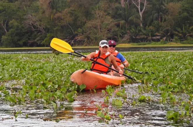 Kayak sul fiume Chagres a Gamboa: Fauna e viste sul canale