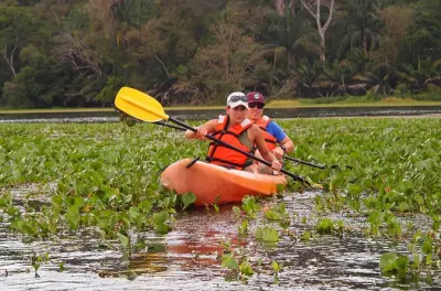 Kayak sul fiume Chagres a Gamboa: Fauna e viste sul canale