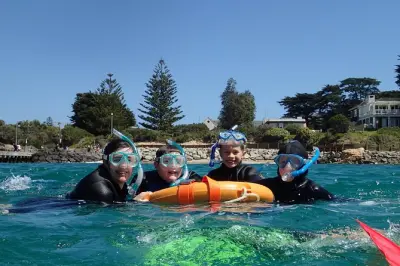 Schnorcheln in Port Phillip Bay: Weedy Sea Dragons