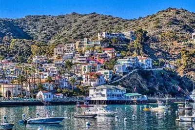 Scopri il fascino di avalon sull’isola di catalina con un tour panoramico guidato, storie locali e viste mozzafiato dalle colline. include pickup e commento dal vivo del conducente.