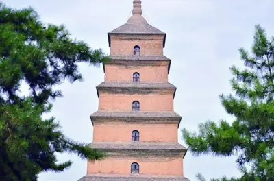 Terracotta Army & Big Wild Goose Pagoda Private Day Tour