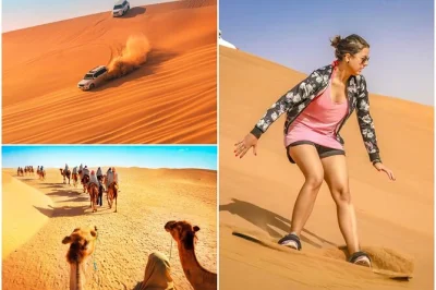 Scopri il lato selvaggio del deserto del qatar con un safari di mezza giornata: dune bashing, cammelli, sand boarding e trasferimenti inclusi. guide esperte, storie autentiche, zero filtri.
