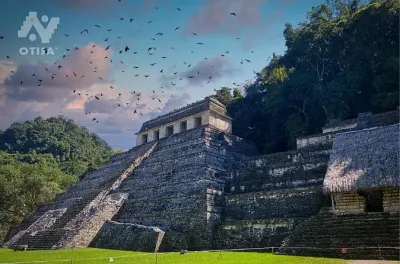 Agua Azul, Misol-Há e Palenque: Tour tra cascate e rovine
