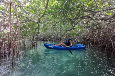 Scopri la tranquillità della laguna nichupte a cancun con un tour guidato in kayak tra mangrovie, avvistamento di fauna locale e foto incluse. gruppo piccolo, attrezzatura completa fornita.