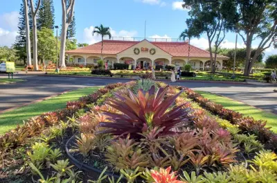 Tour privado em Honolulu: 8 horas com grupo pequeno e exclusivo