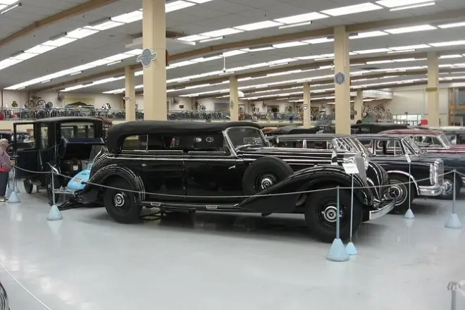 Visite privée de la côte Kapiti, kiwi et musée auto depuis Wellington