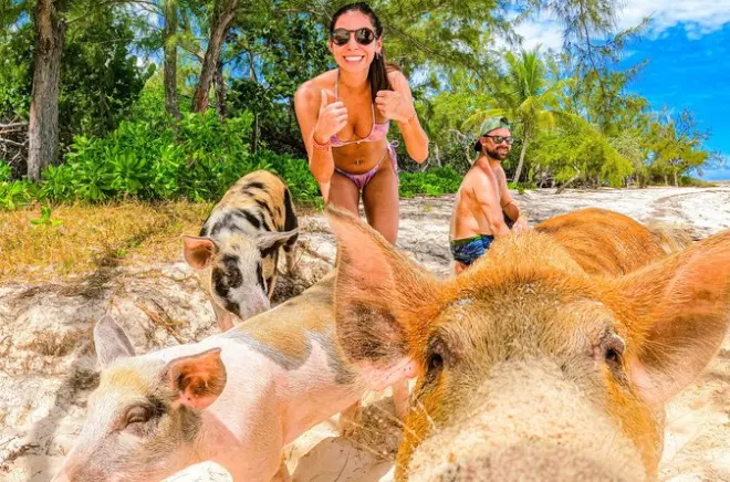 Nassau : Cochons nageurs et plage de Pearl Island avec déjeuner