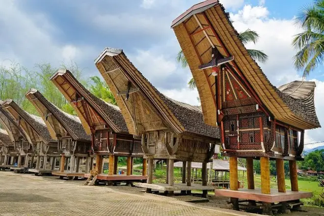 Toraja 4 giorni: Case Tongkonan e siti funerari