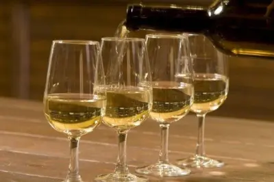 Kefalonia Private Wine Tour: Robola tastings at three wineries
