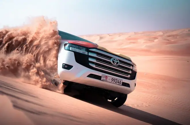 Safari de 2 h dans les dunes du désert de Liwa depuis Abu Dhabi