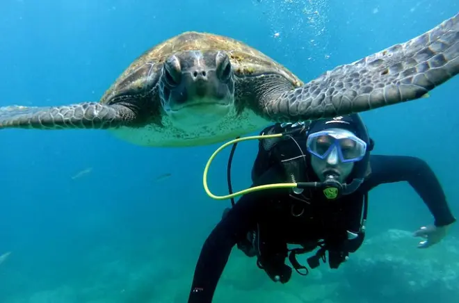 Plongée sous-marine à Tenerife : Apprendre à respirer sous l’eau