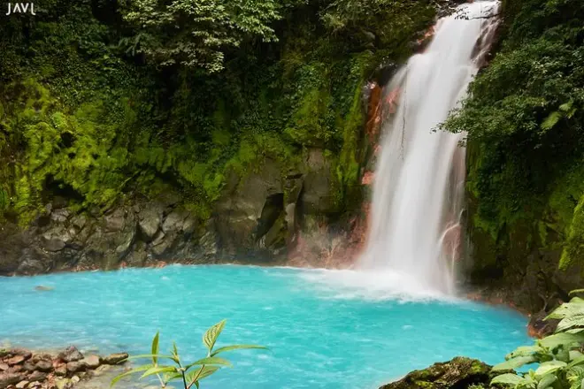 Rio Celeste Waterfall tour: Naturalist guide & sloth sanctuary