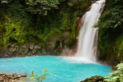 Rio Celeste Waterfall tour: Naturalist guide & sloth sanctuary