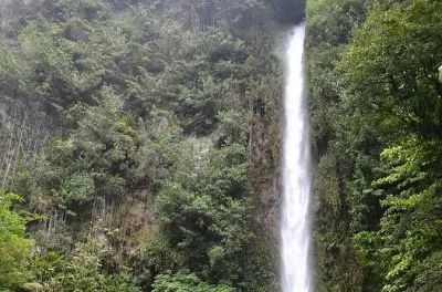 Middleham Falls and Ti'tou Gorge hike: 125 minutes in Dominica