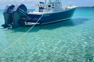 Snorkeling à Rose Island : 3 activités au choix, bateau privé