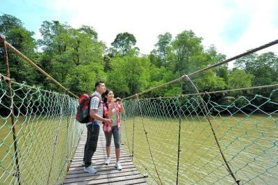Explora la antigua selva de taman negara en una excursión guiada desde kuala lumpur. cruza el puente colgante, visita una aldea orang asli y disfruta de un almuerzo local. reserva ya con recogida en 