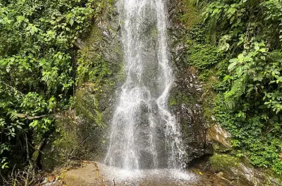 Escursione alle cascate nascoste della valle di Cocora: Passeggiate private con guide locali