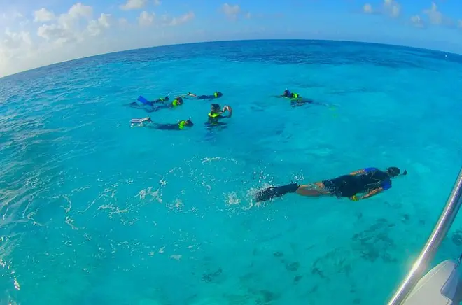 Snorkeling in Key Largo: John Pennekamp Coral Reef