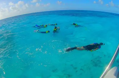 Schnorcheln in Key Largo: John Pennekamp Coral Reef
