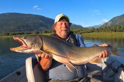 Pesca de meio dia no lago Revelstoke: Pesca guiada de barco