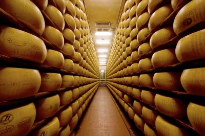 Entdecke parmas käse- und schinkekunst auf einer privaten gourmettour. frischer parmigiano-reggiano, besuch einer familiengeführten prosciutto-manufaktur und ein lokaler guide inklusive abholung.