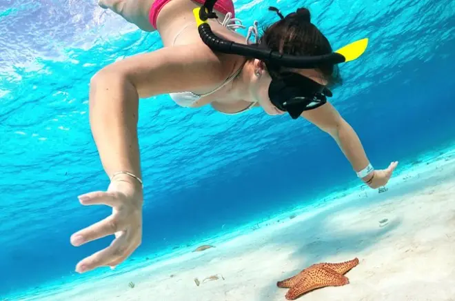 Schnorcheln in Cozumel: Colombia, Palancar & El Cielo