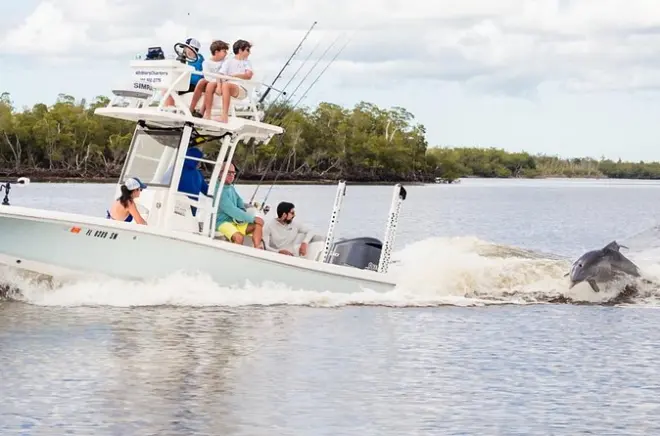 Avistamiento de delfines y tour ecológico en Marco Island: Crucero privado de 2 horas