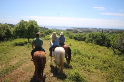 Feel the breeze on oahu’s north shore as you ride horseback with a local guide, explore the hawaii 5-0 hidden cave, and reach a scenic lookout—includes helmets.