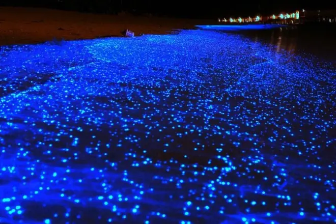 Holbox Biolumineszenz-Nachttour mit Golfwagen