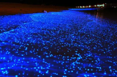 Tour nocturne de bioluminescence à Holbox en voiturette de golf
