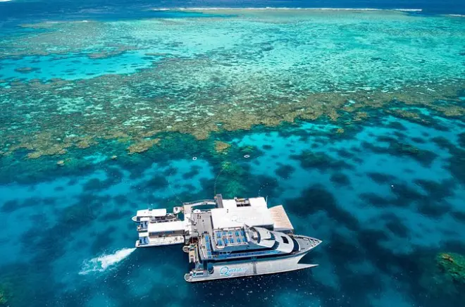 Snorkel en Agincourt Reef desde Palm Cove