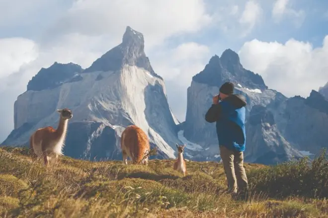 Torres del Paine y cueva del Milodón desde Puerto Natales