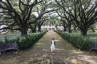 Scopri la storia profonda della whitney plantation partendo da new orleans, con pickup in hotel e guida locale. visita piantagioni iconiche e le paludi della louisiana.