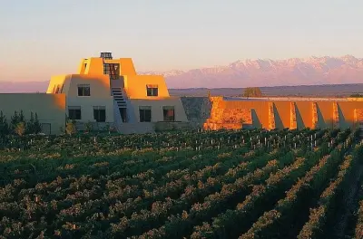 El Enemigo Winery Wine Tasting and Paired Lunch