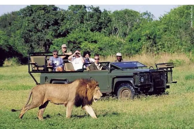 Pilanesberg Safari ab Johannesburg: Big Five Pirschfahrt