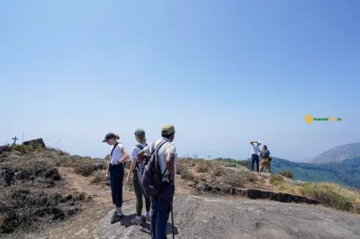 Start your munnar trek through tea plantations, climb to panoramic ridges, and taste local spices. includes snacks, water, and all fees—guided half-day hike.