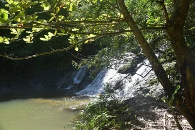 Descubre las cascadas secretas de puerto rico con guía local, salta desde acantilados, nada en piscinas naturales y disfruta un almuerzo típico. incluye transporte desde tu hotel.