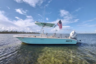 Feel the breeze on a private dolphin tour in panama city beach, with stops at shell island, snorkeling gear, and a friendly local captain. includes water & ice.