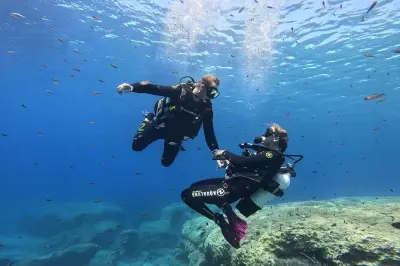 Descubre el buceo en Messinia: Curso privado PADI