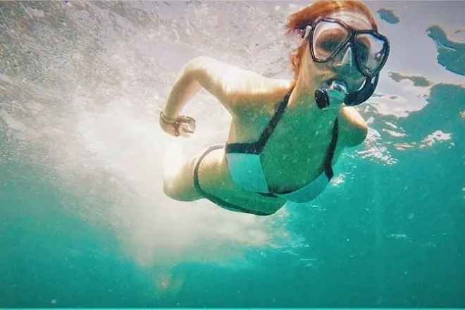 Snorkel en la isla Coronado desde Loreto: Lobos marinos y arrecife
