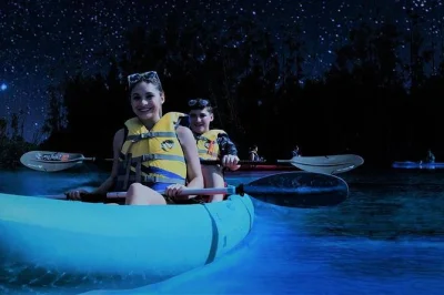 Watch glowing plankton swirl beneath your kayak at merritt island, florida. includes all gear, local guide, and nighttime launch for a rare bioluminescence experience.