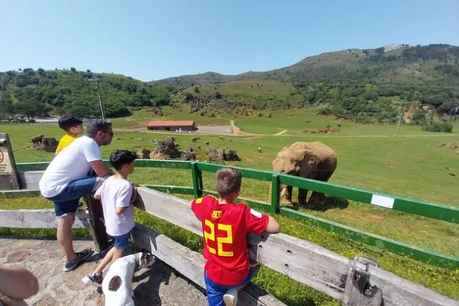 Cabarceno Park ab Santander: 150+ Tiere im Minivan