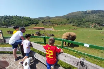 Cabarceno Park ab Santander: 150+ Tiere im Minivan