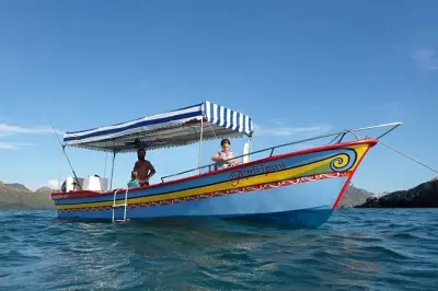 Bahia San Carlos: Barco com biólogo, golfinhos e aves marinhas