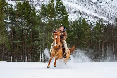 Équitation à Alta : Ranch arctique avec sentiers en forêt