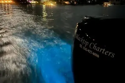Snorkel en la bahía bioluminiscente de Grand Cayman por la noche